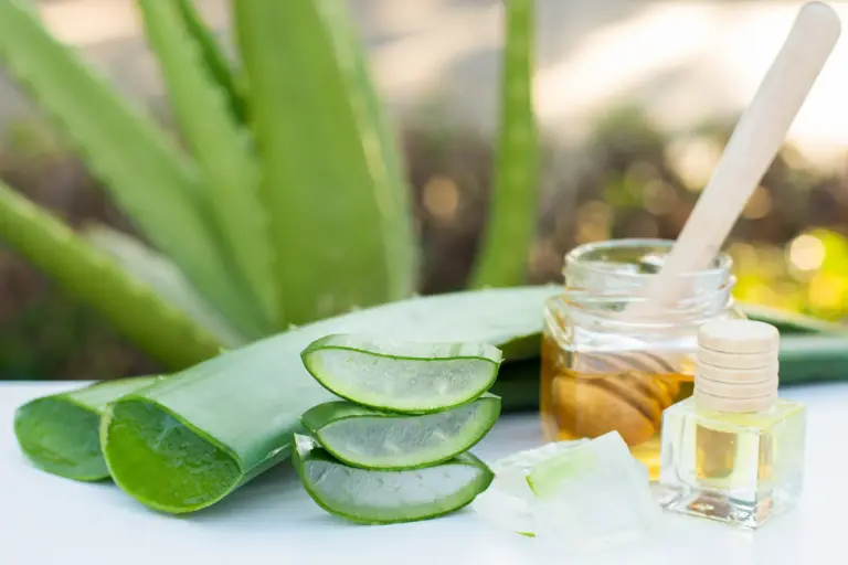 Mascarilla de aloe vera y miel para la piel: el combo que dermatólogos aprueban