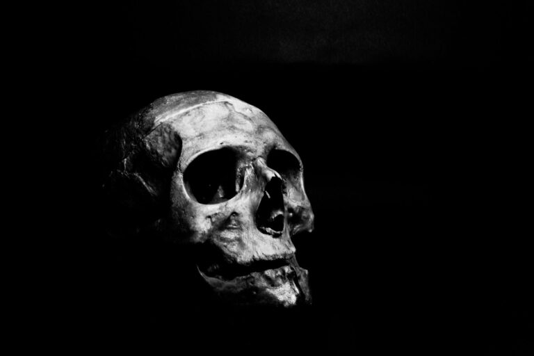 Top 7 Juegos de Terror que Te Helarán la Sangre: Una Recopilación Mortal