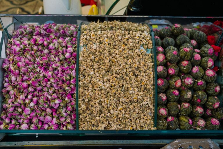 Top 9 tés curativos que te harán olvidar los medicamentos: Descubre los beneficios del té para tu salud