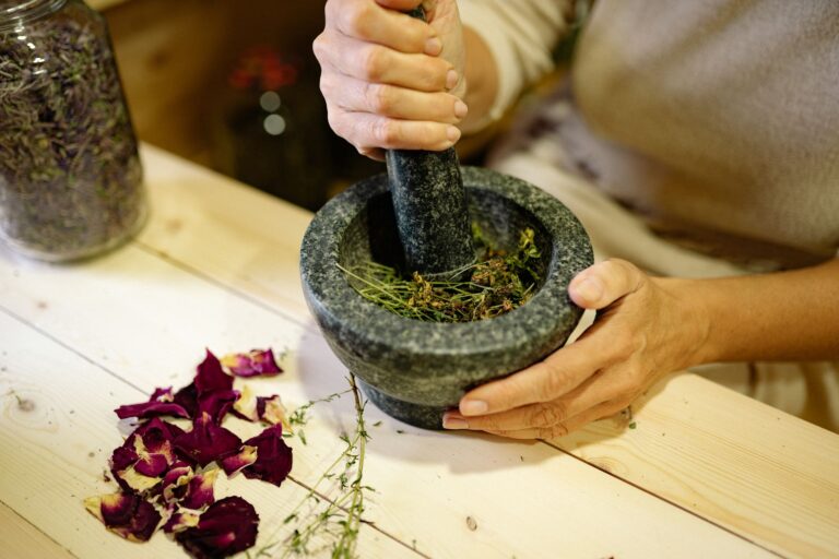 Top 10 Plantas Medicinales que Deberías Tener en Casa para una Vida Saludable